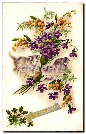 Seller image for Carte Postale Ancienne Fleurs Chats Chatons for sale by CPAPHIL