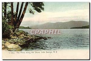 Carte Postale Ancienne The Pines along the Shore Lake George Lake George NY