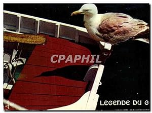 Carte Postale Moderne Bretagne Legende Du Goeland oiseau