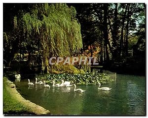 Carte Postale Semi Moderne Vittel Etang des cygnes