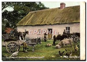 Carte Postale Ancienne irsh Farmyard Cochon Ane