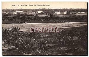 Carte Postale Ancienne Biskra Route des ziban et Palmeraie