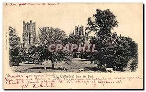 Carte Postale Ancienne Ely Cathedral From the Park
