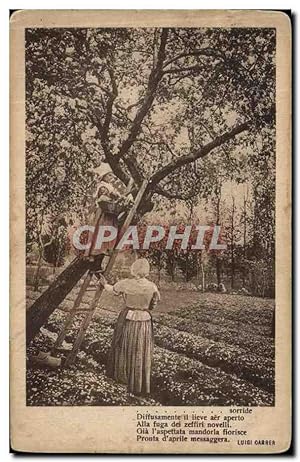 Carte Postale Ancienne Femmes a la cueillette Italie