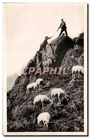 Bild des Verkufers fr Carte Postale Semi Moderne Hautes Pyrenees une Escalade en Montagne Moutons zum Verkauf von CPAPHIL