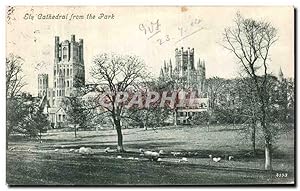 Carte Postale Ancienne Ely Cathédrale from the Park