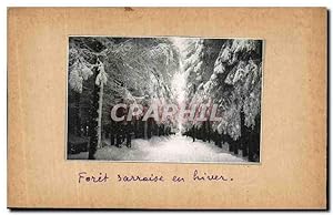 Carte Postale Ancienne Forit Sarroise en Hiver