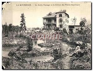 Carte Postale Ancienne La Rocheraie Le Jardin Paysager et la Culture des Plantes Aquatiques