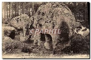 Image du vendeur pour Carte Postale Ancienne fort de Fontainebleau L'hippopotame mis en vente par CPAPHIL