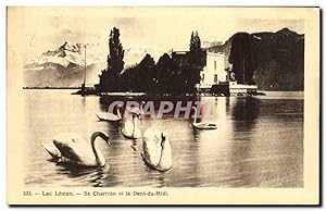 Carte Postale Ancienne Lac Leman île Chartran et la Dent du Midi Cygnes