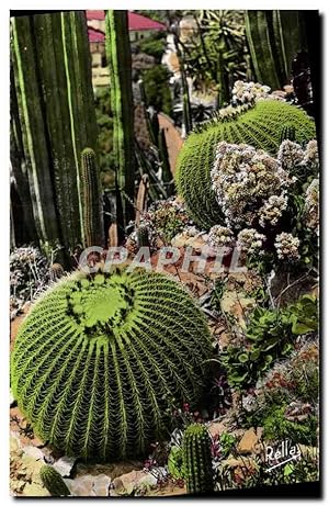 Image du vendeur pour Carte Postale Ancienne Monte Carlo Le Jardin Exotique Les coussins de belle mere Cactus mis en vente par CPAPHIL