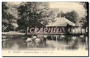 Bild des Verkufers fr Carte Postale Ancienne Le Mans Le Jardin des Plantes Le alc Cygnes zum Verkauf von CPAPHIL