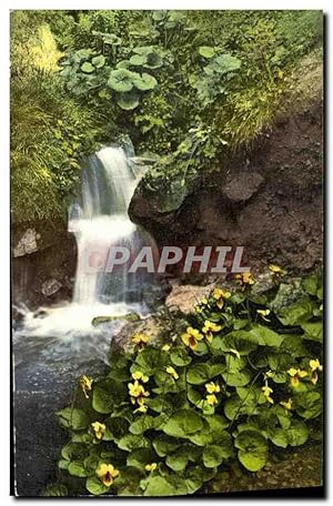 Bild des Verkufers fr Carte Postale Ancienne Aus Rubezahls Garten zum Verkauf von CPAPHIL
