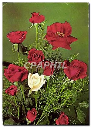 Image du vendeur pour Carte Postale Moderne Roses mis en vente par CPAPHIL