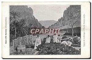 Image du vendeur pour Carte Postale Ancienne Oasis d'eL Kantara Contantine Lecon de jardinage a l'cole franco arabe mis en vente par CPAPHIL