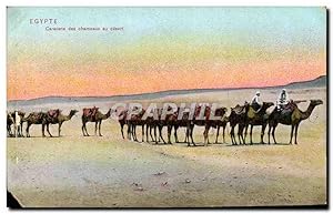 Carte Postale Ancienne Egypte Caravane des Chameaux au Desert