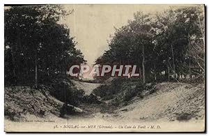 Carte Postale Ancienne Soula sur Mer Un Coin de forêt