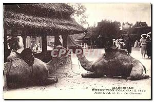 Seller image for Carte Postale Ancienne Marseille Exposition Coloniale Palais de l'A O F Les Chameaux for sale by CPAPHIL