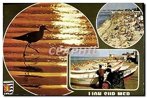 Immagine del venditore per Carte Postale Moderne Lion Sur Mer venduto da CPAPHIL