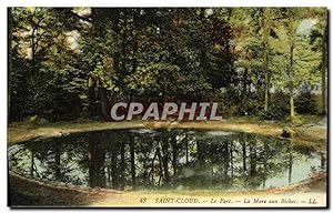 Carte Postale Ancienne Parc de Saint Cloud Le Parc La Mare Aux Biches