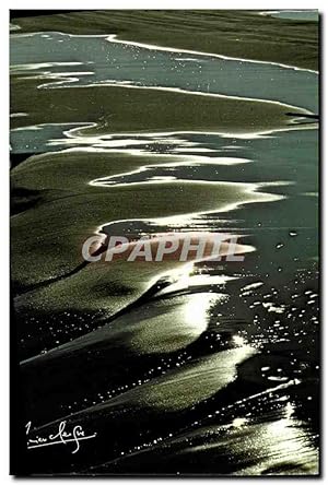 Seller image for Carte Postale Moderne plage de Camargue for sale by CPAPHIL