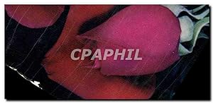 Bild des Verkäufers für Carte Postale Ancienne Rose Fleur zum Verkauf von CPAPHIL