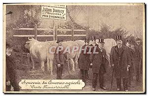 Carte Postale Ancienne Souvenir du concours agricole Juien Damoy Boeufs Boucherie