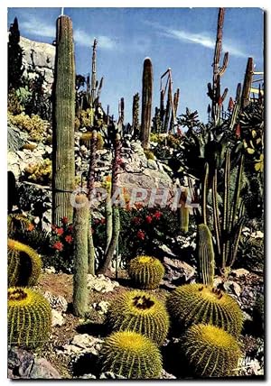 Image du vendeur pour Carte Postale Moderne La Cote d'Azur Jardin exotique Cactus mis en vente par CPAPHIL