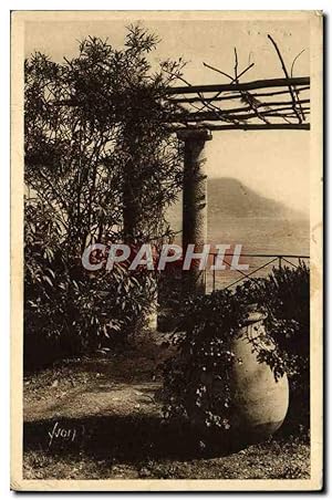 Bild des Verkufers fr Carte Postale Ancienne Cote d'Azur Tete de chien vue a travers une Pergola zum Verkauf von CPAPHIL