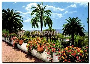 Seller image for Carte Postale Moderne Cote D'Azur Et Provence Sa Vegtation for sale by CPAPHIL