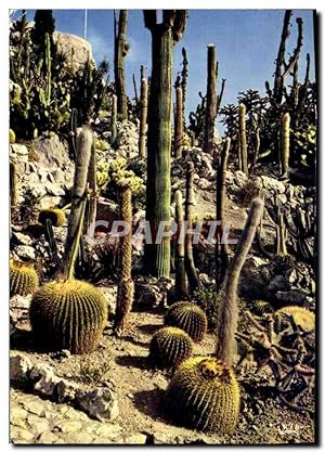 Image du vendeur pour Carte Postale Moderne Eze Village Le Jardin Exotique Cactus mis en vente par CPAPHIL