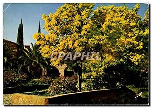 Immagine del venditore per Carte Postale Moderne Cote D'Azur Parure doree venduto da CPAPHIL