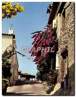 Carte Postale Moderne La Cote Des Maures Grimaud Une Rue Du Village