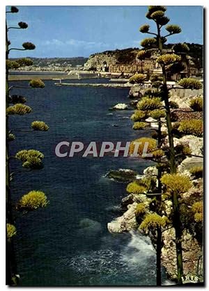 Image du vendeur pour Carte Postale Moderne Nice Reflets De La Cote D'Azur L'entre du port La Promenade des Anglais mis en vente par CPAPHIL