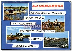 Seller image for Carte Postale Moderne Camargue Passage De Taureaux Gardians Poursuite Manade for sale by CPAPHIL