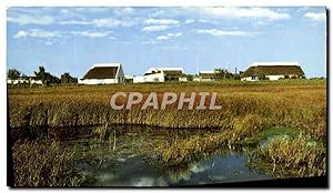 Seller image for Carte Postale Ancienne Camargue Pays de Chasse et d'Elevage for sale by CPAPHIL