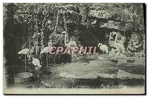 Imagen del vendedor de Carte Postale Ancienne Marseille Les Flamands au Jardin Zoologique Zoo a la venta por CPAPHIL