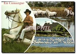 Seller image for Carte Postale Moderne En Camargue Les Belles Images Chevaux for sale by CPAPHIL