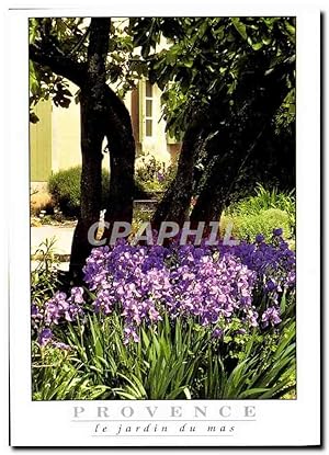 Bild des Verkufers fr Carte Postale Moderne Provence Le Jardin Du Mas zum Verkauf von CPAPHIL