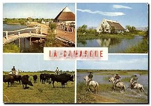 Image du vendeur pour Carte Postale Moderne Ln Camargue Chevaux Taureaux mis en vente par CPAPHIL
