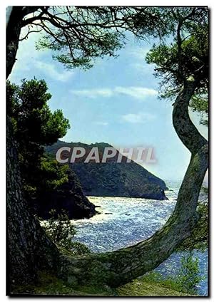 Carte Postale Moderne Lumiere Et Beaute De La Mediterranee