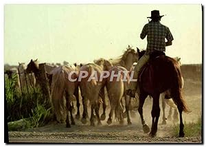 Seller image for Carte Postale Ancienne En Camargue Chevaux for sale by CPAPHIL