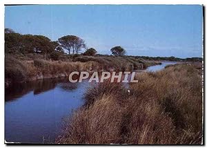 Seller image for Carte Postale Moderne En Camargue for sale by CPAPHIL
