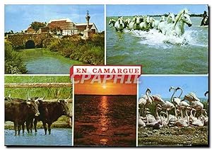 Image du vendeur pour Carte Postale Moderne Camargue Souvenirs Chevaux Taureaux Flamants roses mis en vente par CPAPHIL