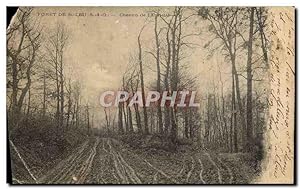 Carte Postale Ancienne forêt De St Leu Chemin de L'Auriette