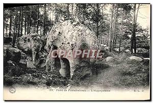 Image du vendeur pour Carte Postale Ancienne fort De Fontainebleau L'Hippopotame Hippopotame mis en vente par CPAPHIL