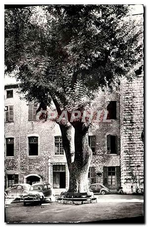 Carte Postale Moderne Vence la Jolie Place du Frene arbre plante par Francois 1er