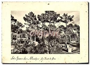 Carte Postale Moderne St Jean De Monts La forêt De Pins