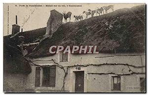 Carte Postale Ancienne forêt De Rambouillet Hallali Sur un Toit A Gambaiseuil Chiens Chasse