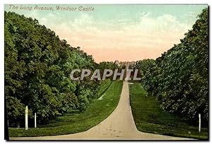 Carte Postale Ancienne The Long Avenue Windsor Castle